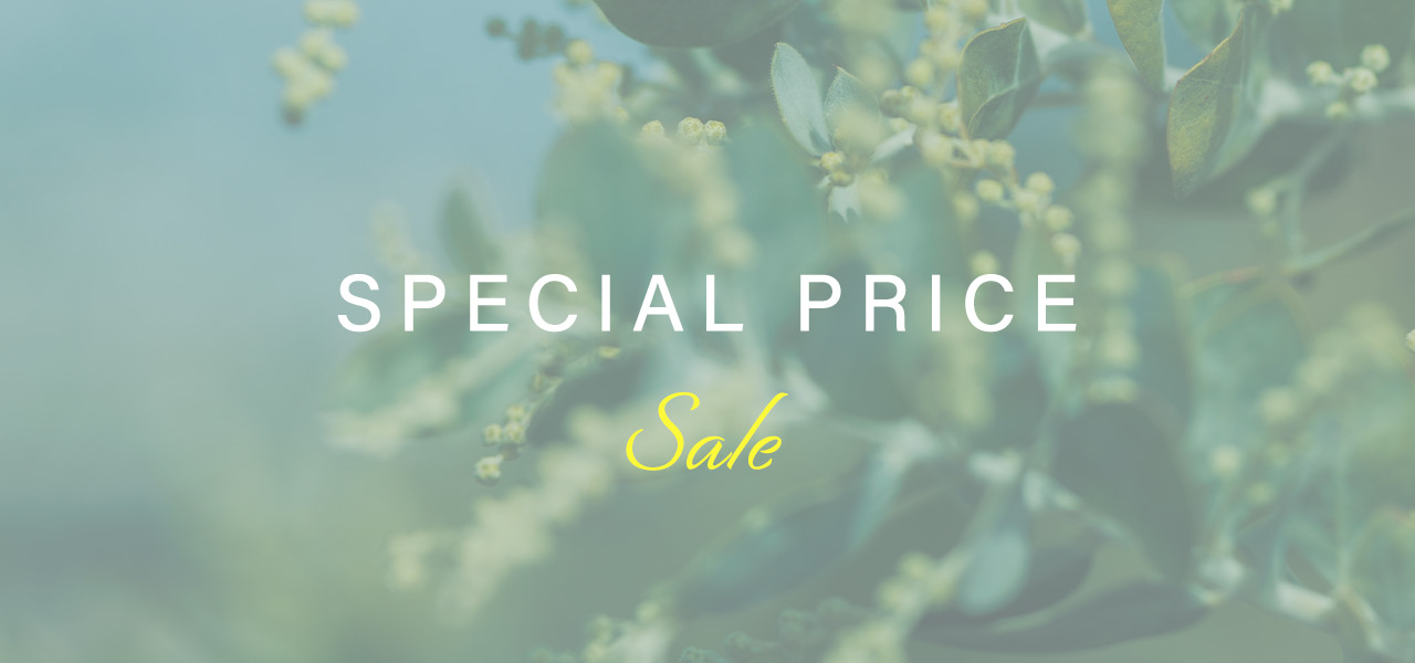 SPECIAL PRICE SALE